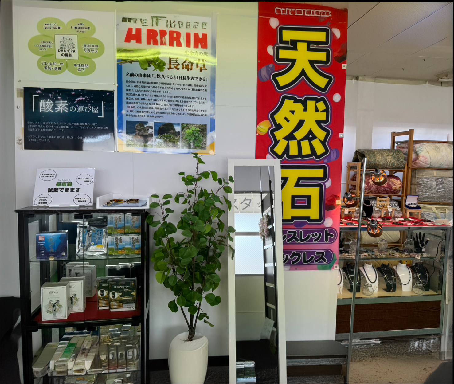 九州代替医療-遊楽館の店内